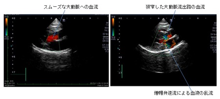 今月の病気⑩４.jpg