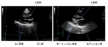 今月の病気⑩3.jpg