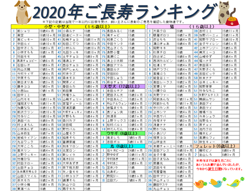 ランキング表画像.pngのサムネール画像