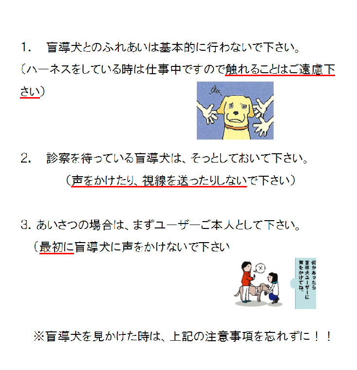 盲導犬１.png