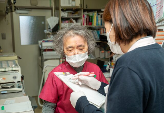 高齢猫の消化器型リンパ腫について｜猫によくみられる腫瘍の1つ