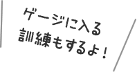 ゲージに入る訓練もするよ！