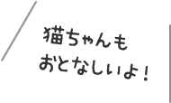 猫ちゃんもおとなしいよ！