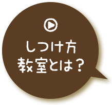 しつけ方教室とは？