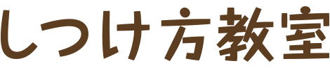 しつけ方教室