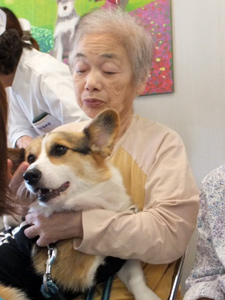 Y