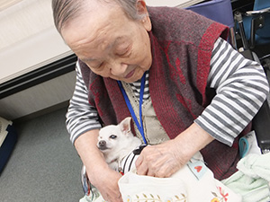 きなこちゃん