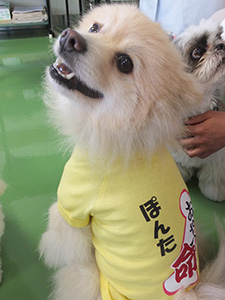 ぽんたくん