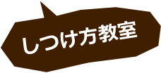 しつけ方教室